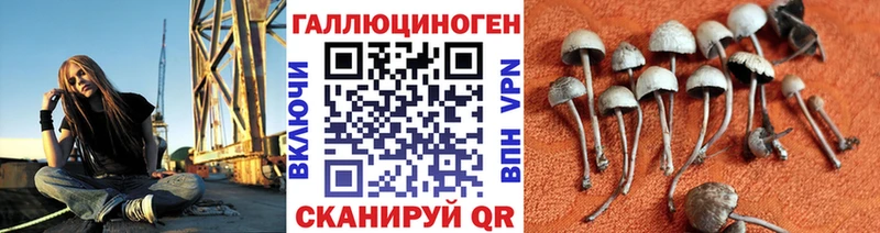 Псилоцибиновые грибы ЛСД  omg ССЫЛКА  Ленинградская 